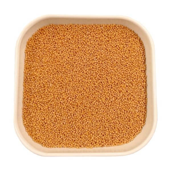 Senfkörner gelb<br >1 kg