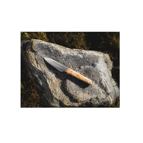 F. Dick "VIVUM" <br /> Officemesser  <br /> 10 cm Klingenlänge – Bild 3